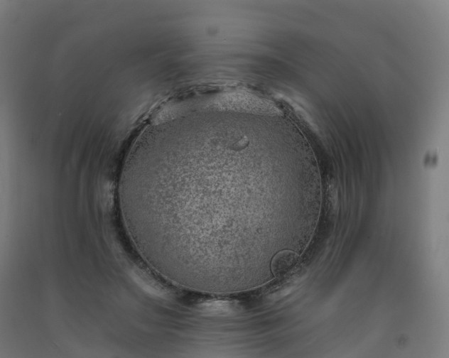 X0000092260499200709281207