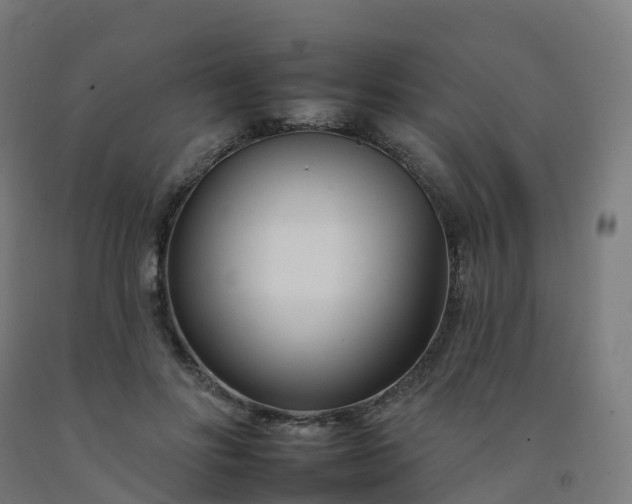 X0000092260502200709281206