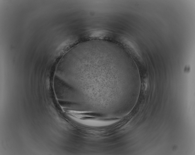 X0000092260504200709281206