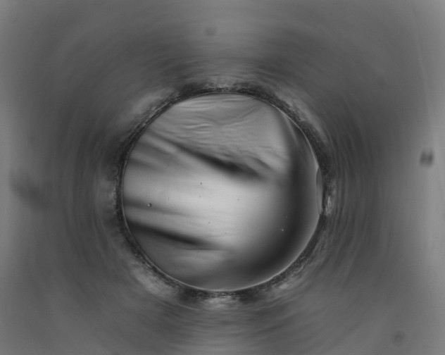 X0000092260505200709281206