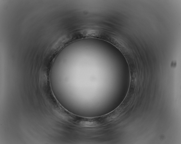 X0000092260506200709281206