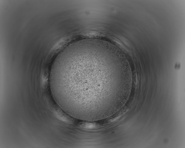 X0000092260507200709281206