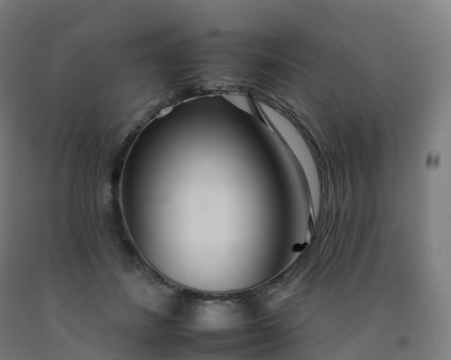 X0000092260508200709281206