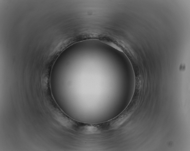 X0000092260509200709281206