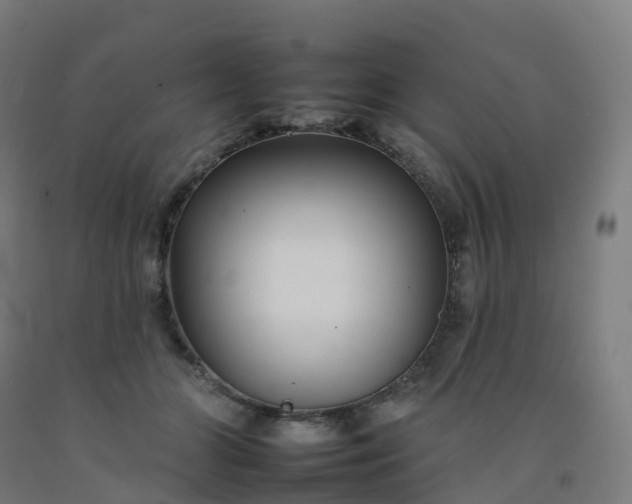 X0000092260510200709281206