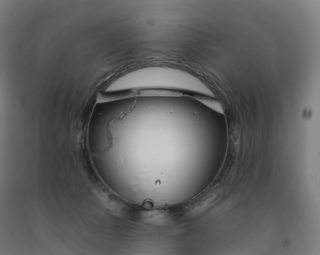 X0000092260511200709281206