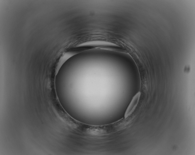 X0000092260512200709281206