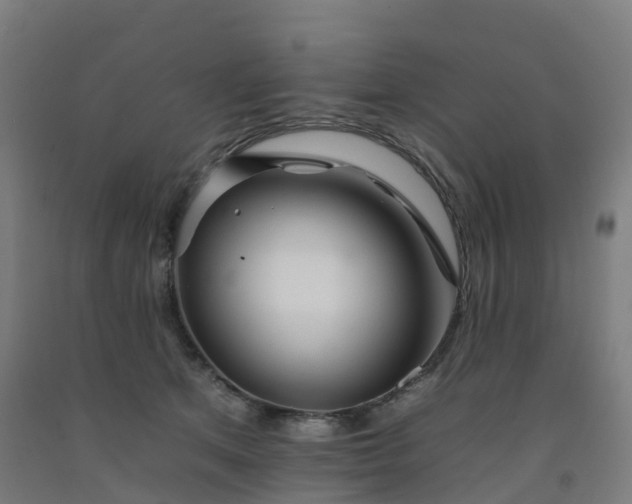 X0000092260513200709281206