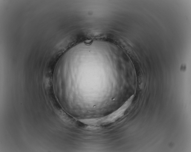 X0000092260515200709281206