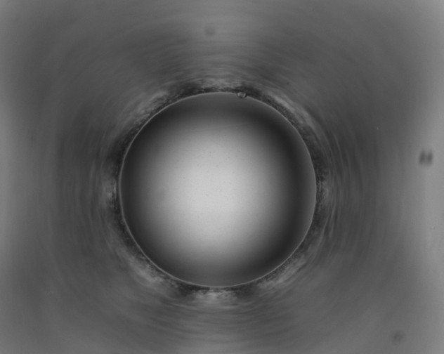 X0000092260517200709281206