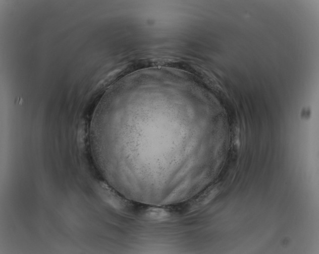 X0000092260519200709281206