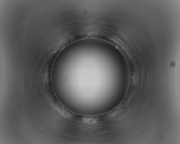 X0000092260520200709281206