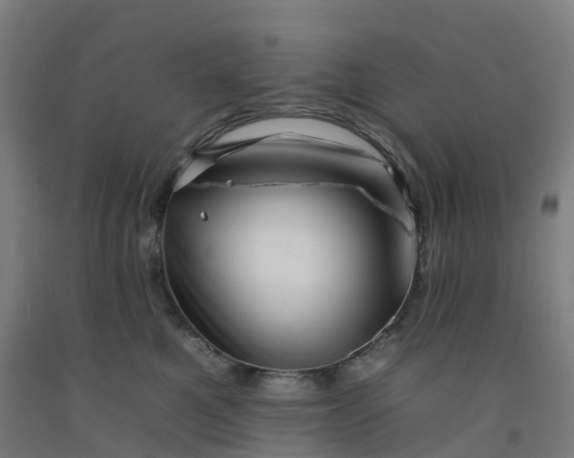 X0000092260521200709281206