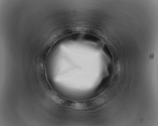 X0000092260522200709281206