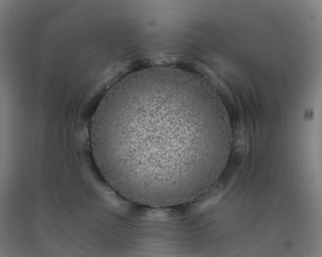 X0000092260523200709281206