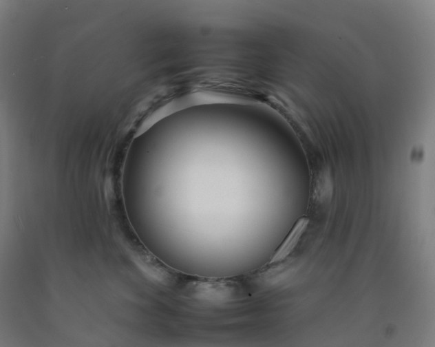 X0000092260524200709281206