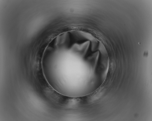 X0000092260525200709281206