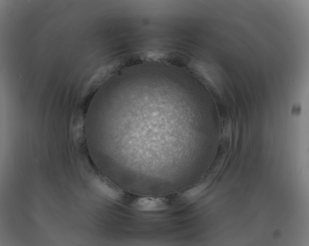 X0000092260526200709281206