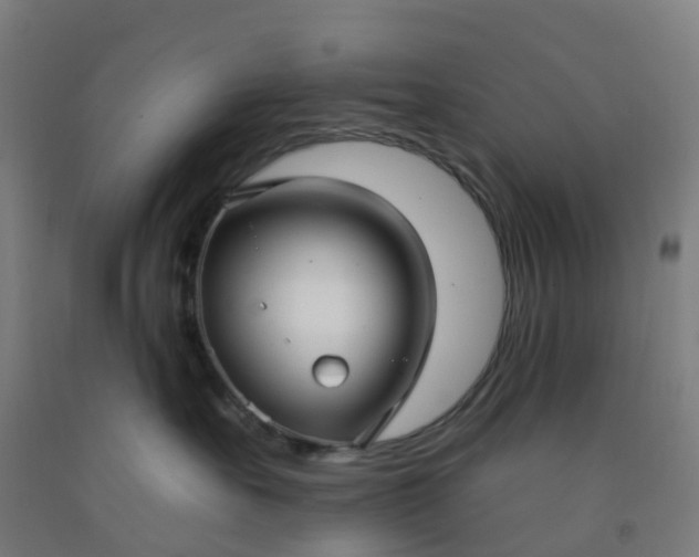 X0000092260527200709281206