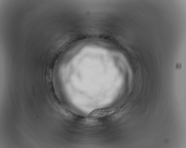 X0000092260528200709281206