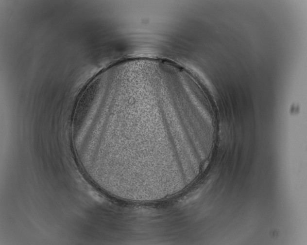 X0000092260529200709281206