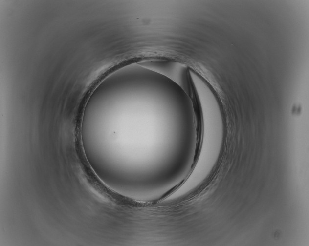 X0000092260530200709281206