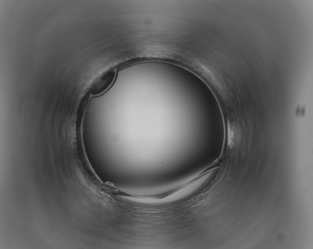 X0000092260531200709281206