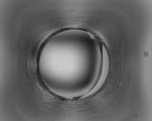 X0000092260532200709281206