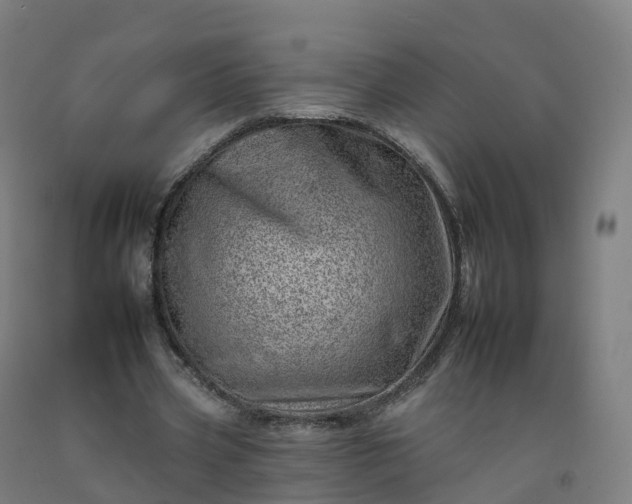 X0000092260533200709281206