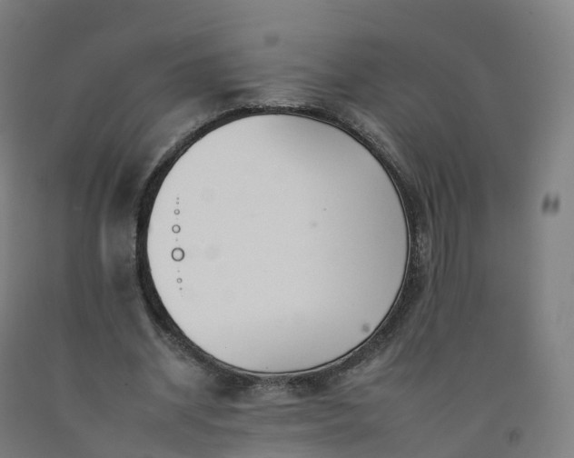 X0000092260534200709281206