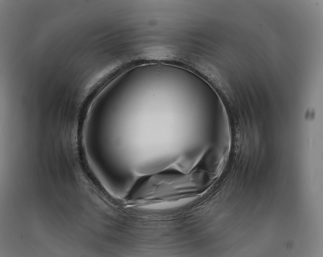 X0000092260535200709281206