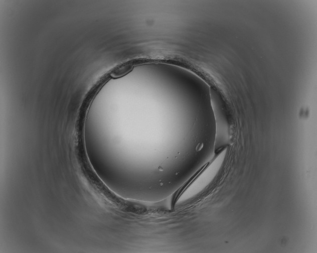 X0000092260536200709281206