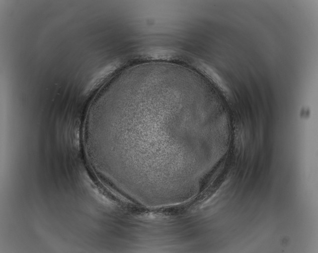 X0000092260537200709281206