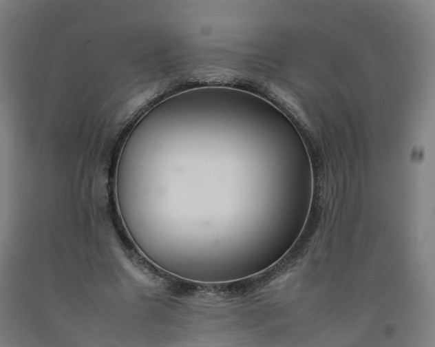 X0000092260538200709281206