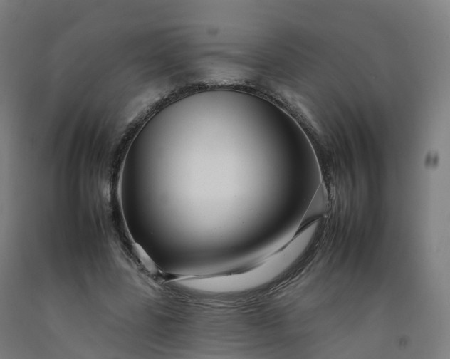 X0000092260539200709281206