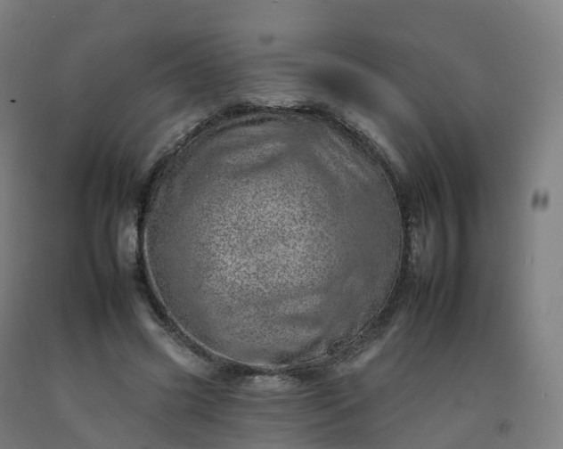 X0000092260541200709281206