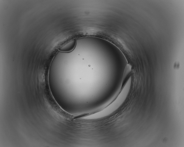 X0000092260543200709281206