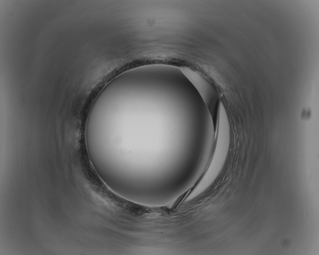 X0000092260544200709281206