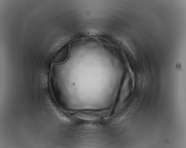 X0000092260545200709281206