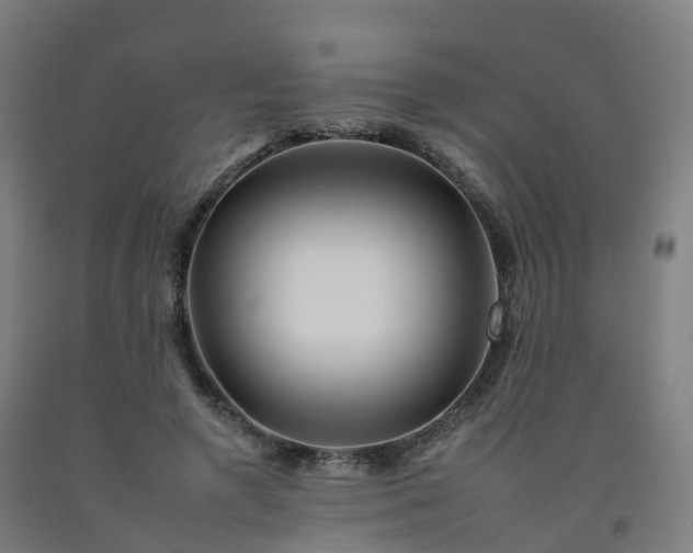 X0000092260546200709281206