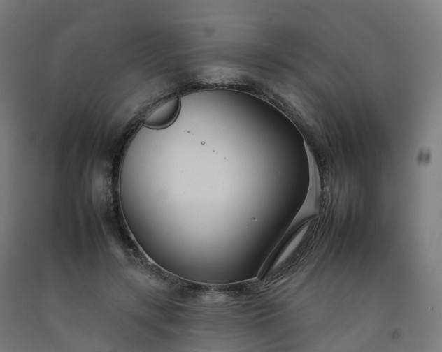 X0000092260547200709281206