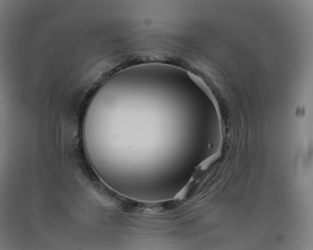 X0000092260548200709281206