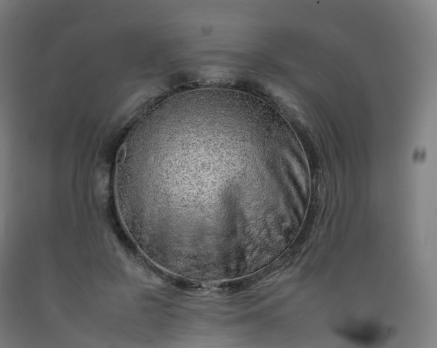 X0000092260550200709281206