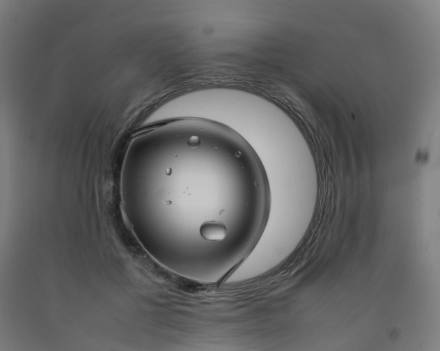 X0000092260552200709281206