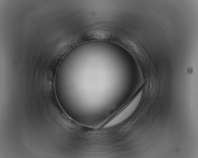 X0000092260553200709281206