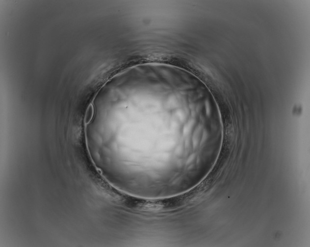 X0000092260554200709281206