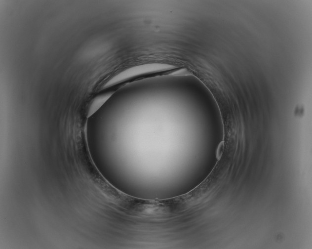 X0000092260555200709281206