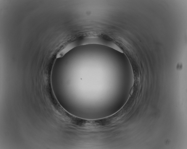 X0000092260556200709281206