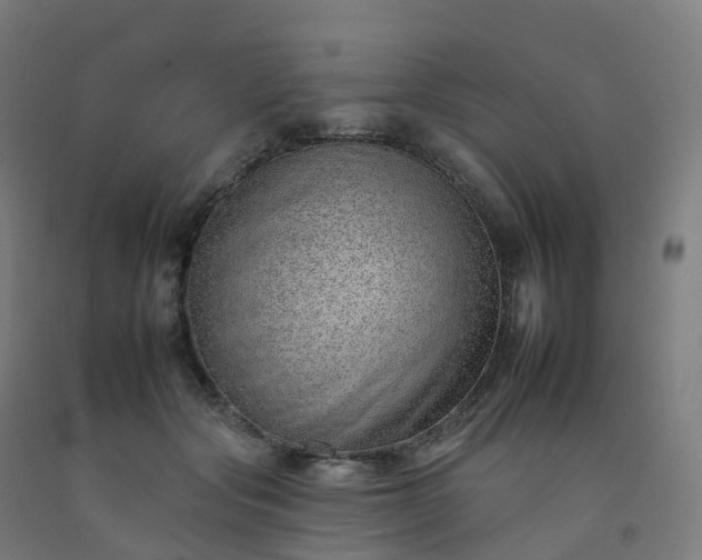 X0000092260557200709281206