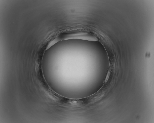 X0000092260558200709281206